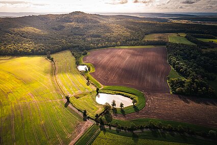 Erosionsschutzstreifen Weigenheim