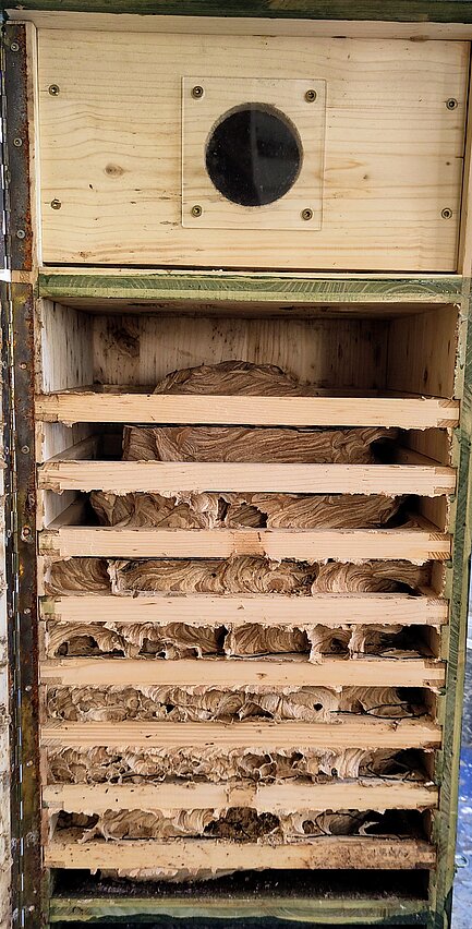 Eine Holzkonstruktion mit mehreren Regalen, die jeweils mit einer Schicht aus scheinbar komprimiertem Material gefüllt sind und oben eine runde Öffnung aufweisen.