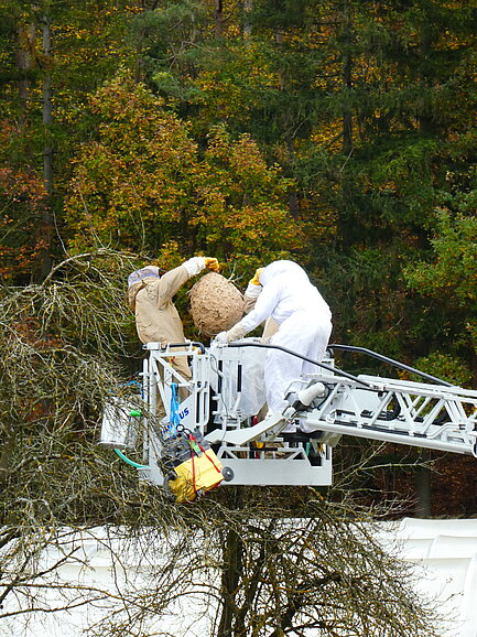 Zwei Personen in Schutzanzügen arbeiten an einem kranähnlichen Gerät, umgeben von Bäumen mit herbstlichen Farben.