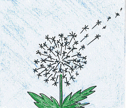 gezeichnete Pusteblume, von der sich einige Samen lösen und wegfliegen
