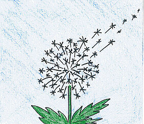 gezeichnete Pusteblume, von der sich einige Samen lösen und wegfliegen