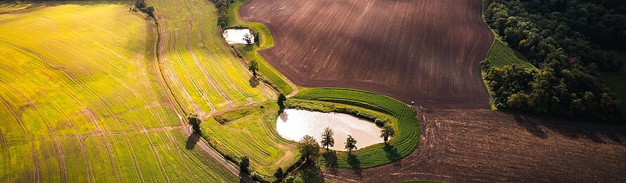 Ersosionsschutzstreifen Weigenheim